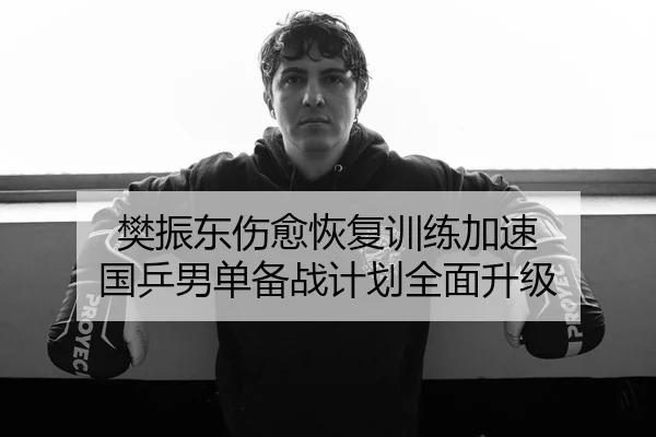 樊振东伤愈恢复训练加速 国乒男单备战计划全面升级